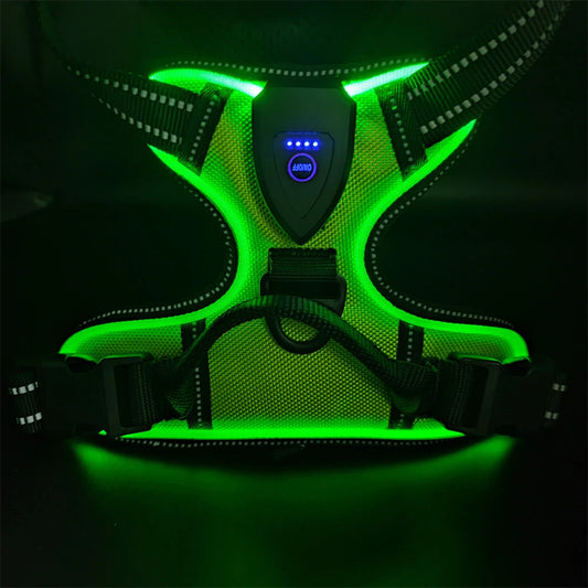 Rechargeable LED Light-Up Dog Harness