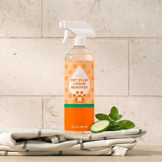 Pet Stain and Odor Remover