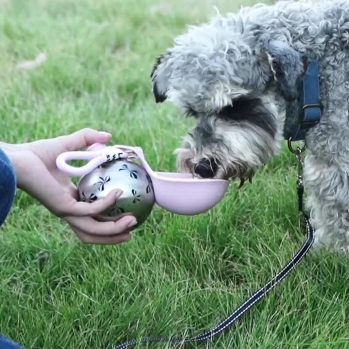 Foldable Stainless Steel Pet Water Bottle with Portable Hook
