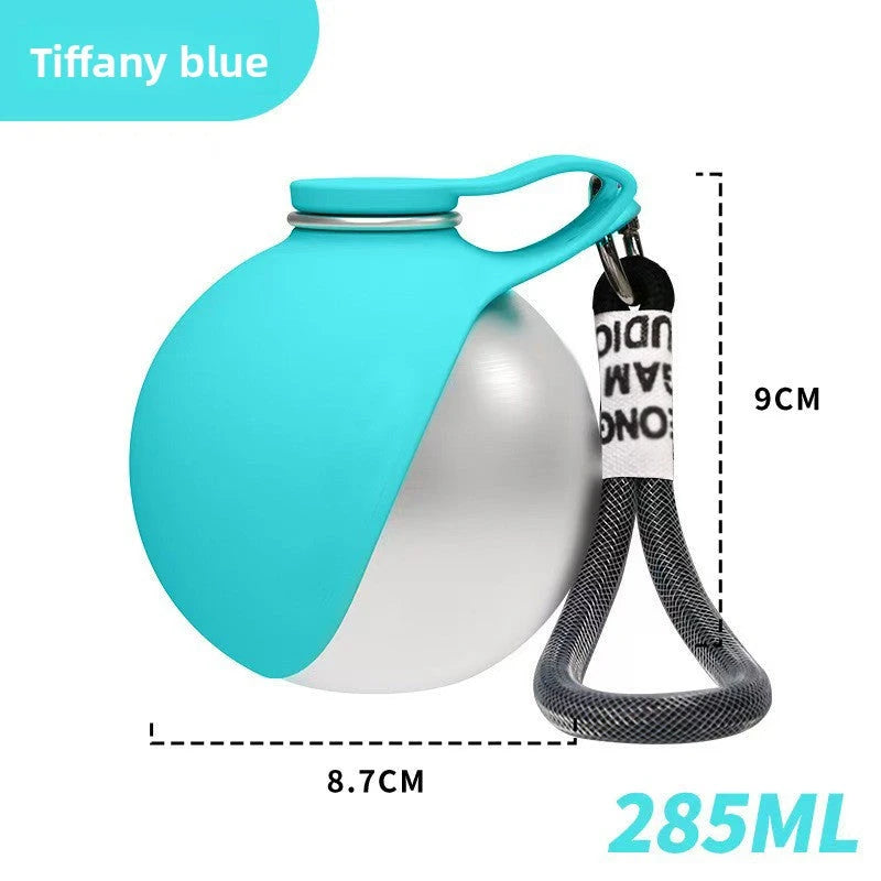 Foldable Stainless Steel Pet Water Bottle with Portable Hook