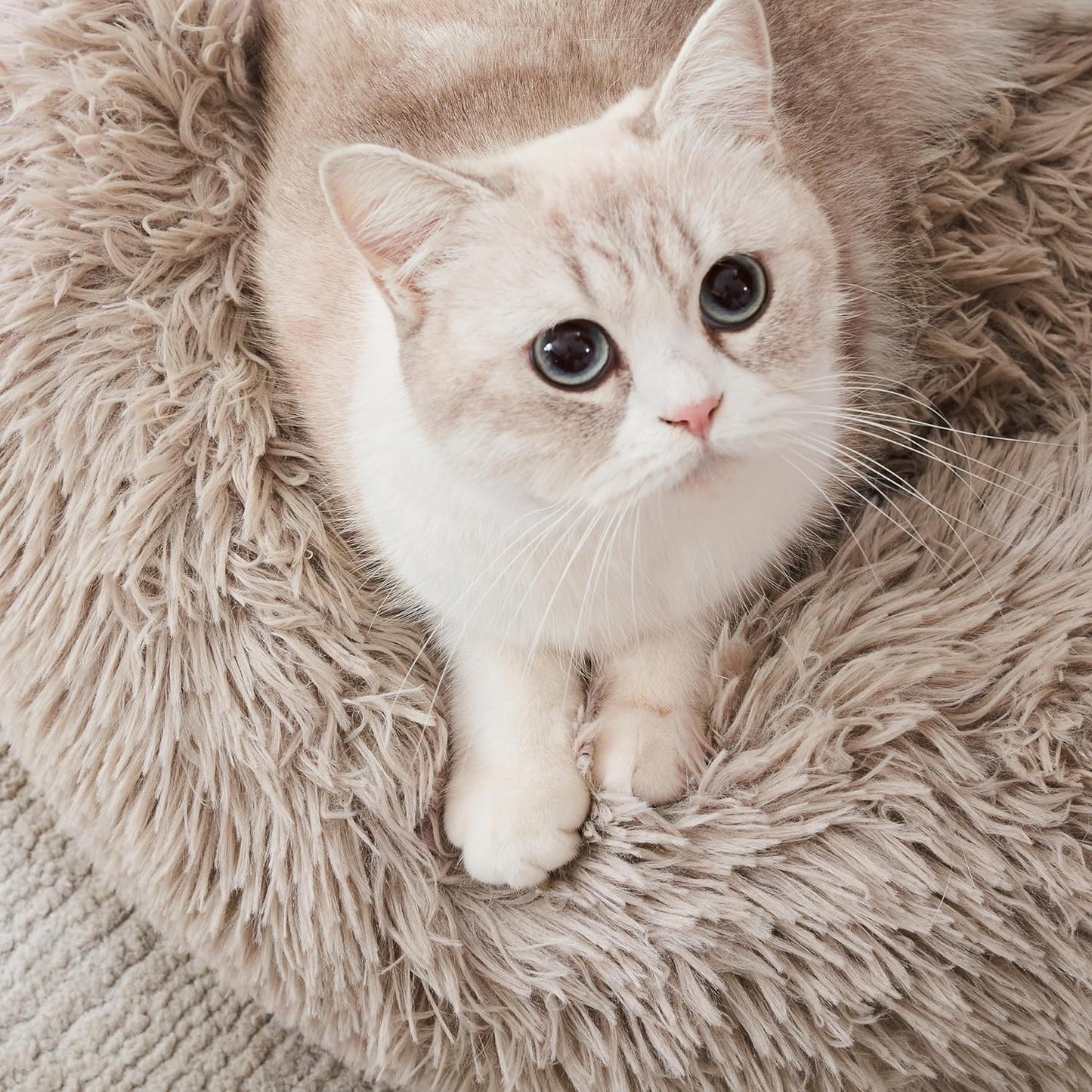 Calming Dog & Cat Bed, Anti-Anxiety Donut Cuddler Warming Cozy Soft round Fluffy Faux Fur Plush Cushion Bed - Sam's Pet Shop