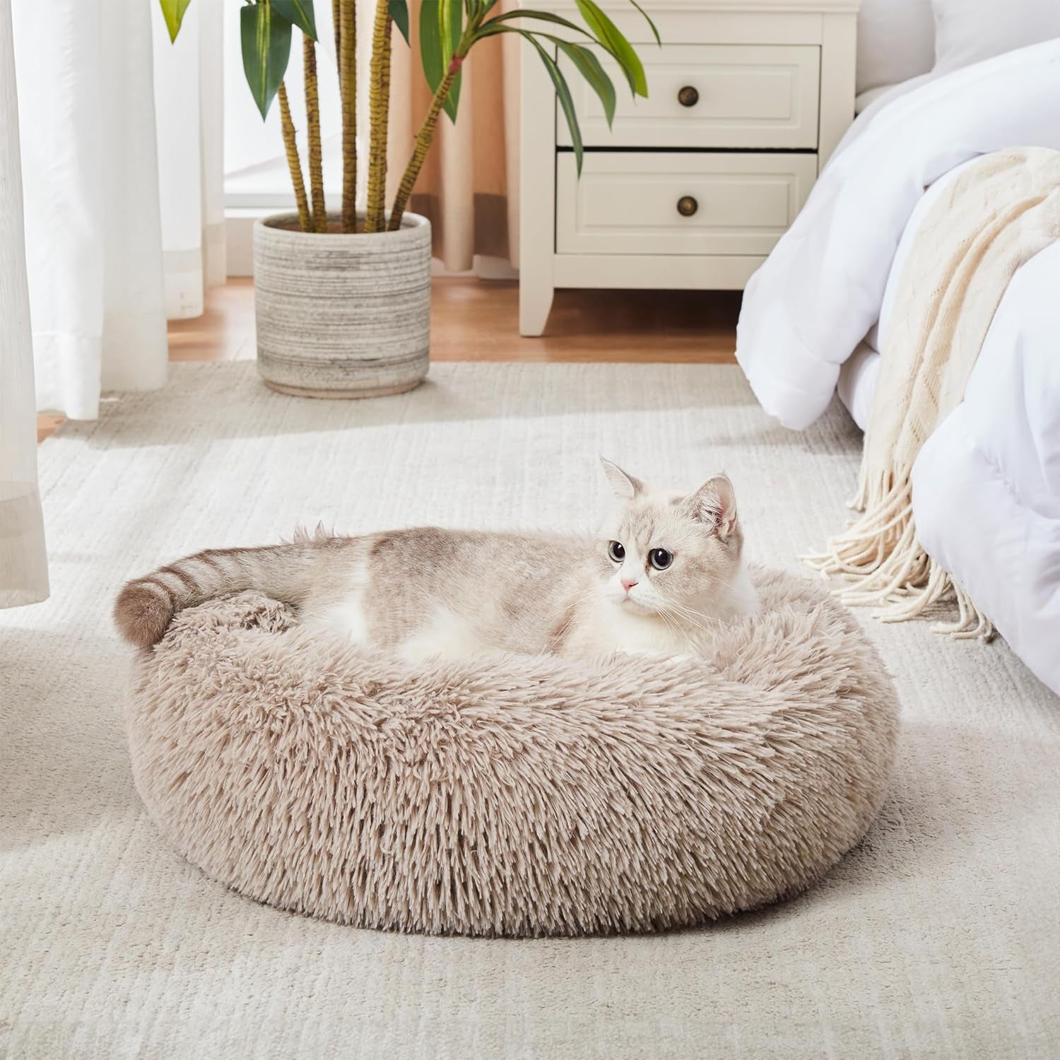 Calming Dog & Cat Bed, Anti-Anxiety Donut Cuddler Warming Cozy Soft round Fluffy Faux Fur Plush Cushion Bed - Sam's Pet Shop