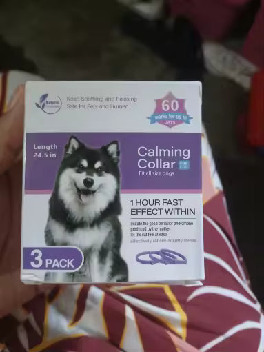 Review Card