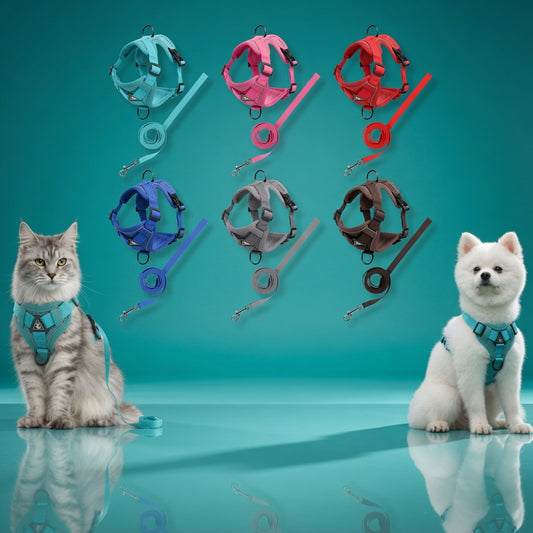 Reflective Pet Leash and Harness